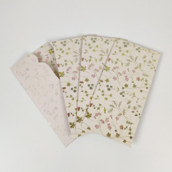 Green Money Envelopes (10 no's)